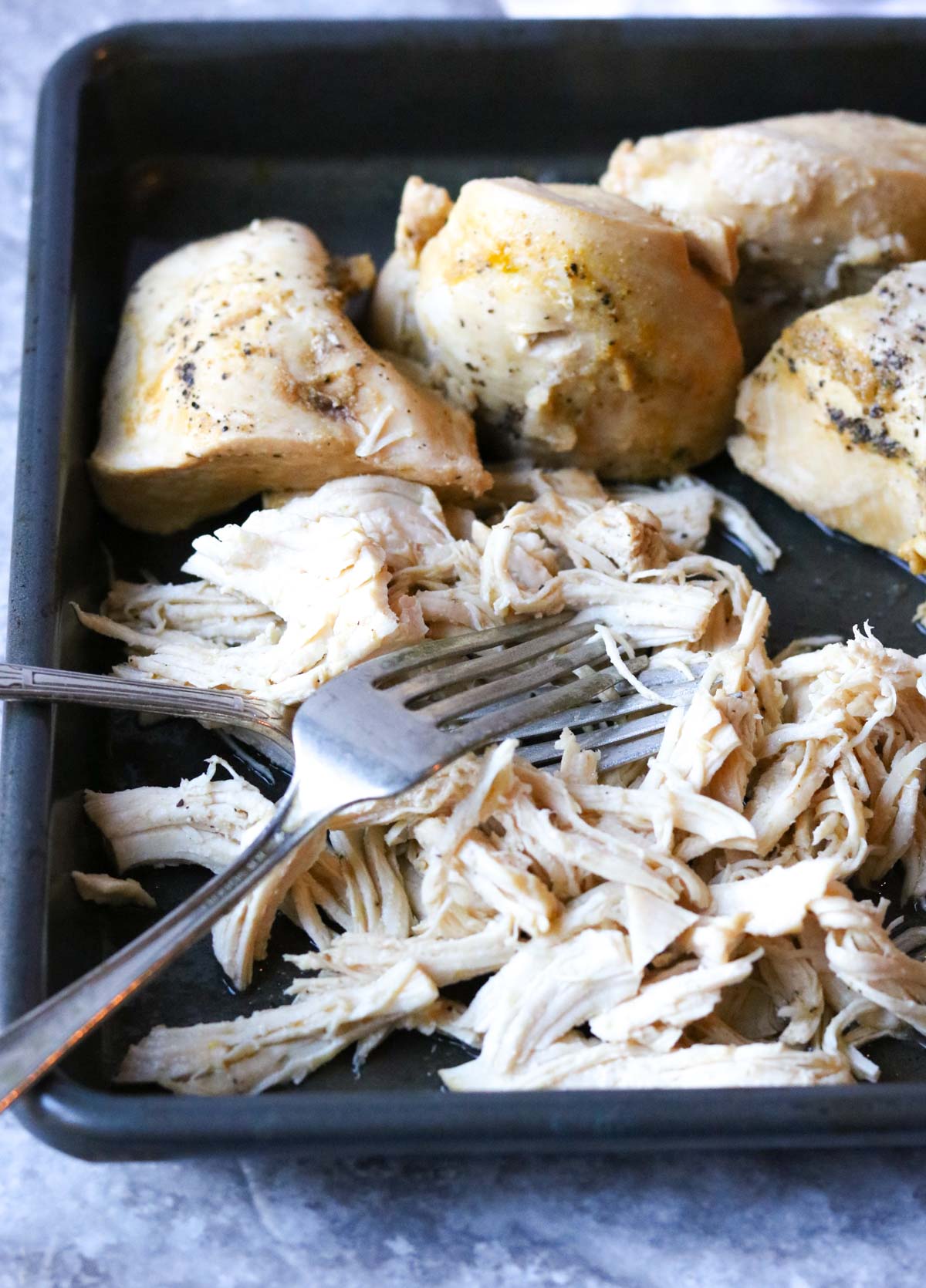 chicken being shredded on a baking dish