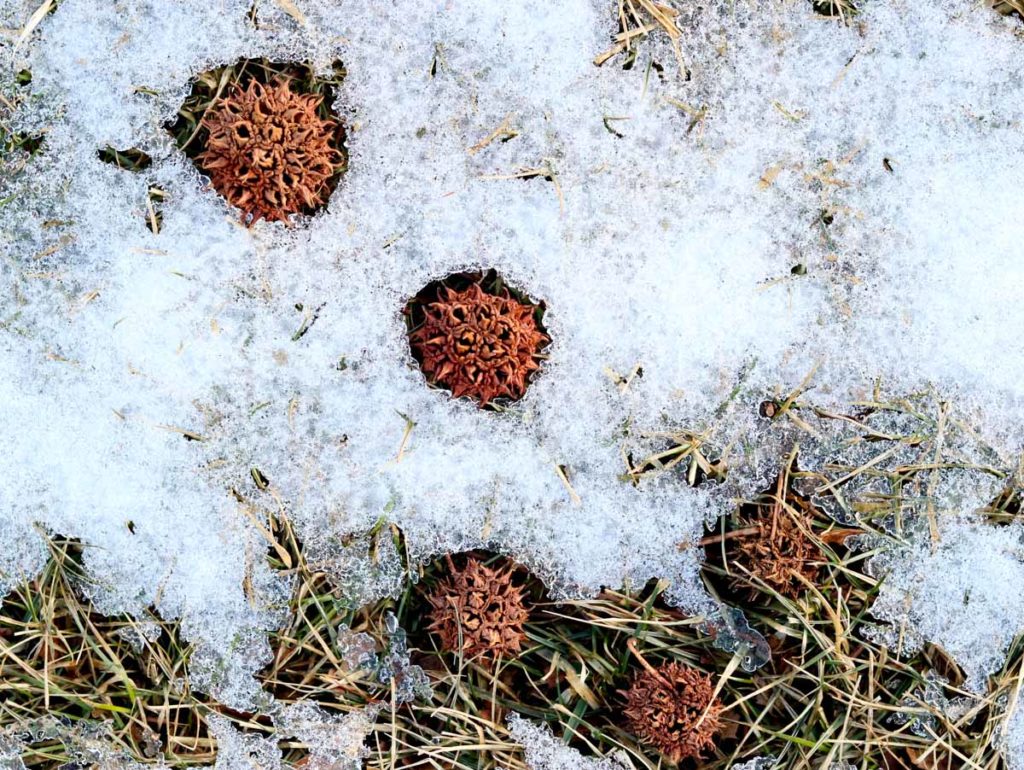 Sticky Balls in Snow