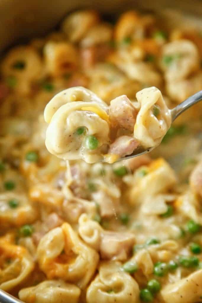 Leftover-Ham-Creamy-Tortellini-3-683x1024