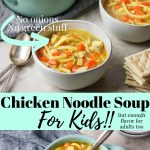 Chicken noodle soup in a bowl - pinterest image