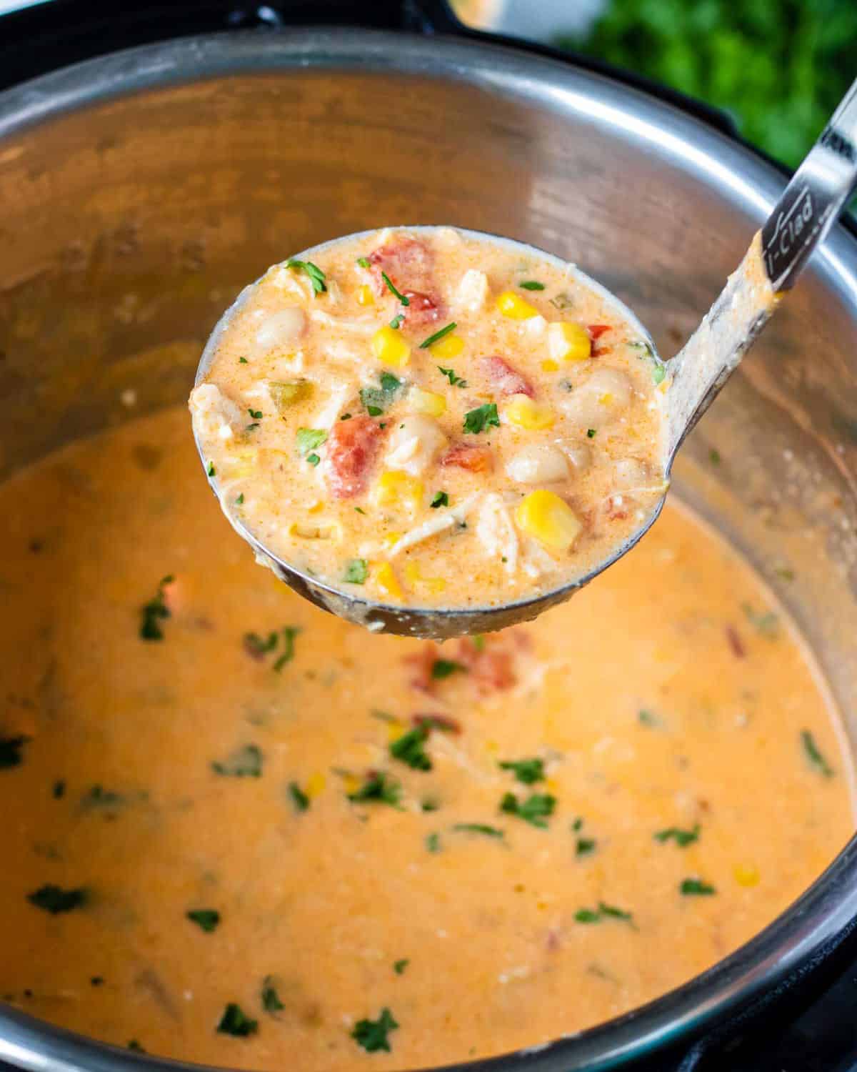 Instant Pot with a ladle full of buffalo chicken soup