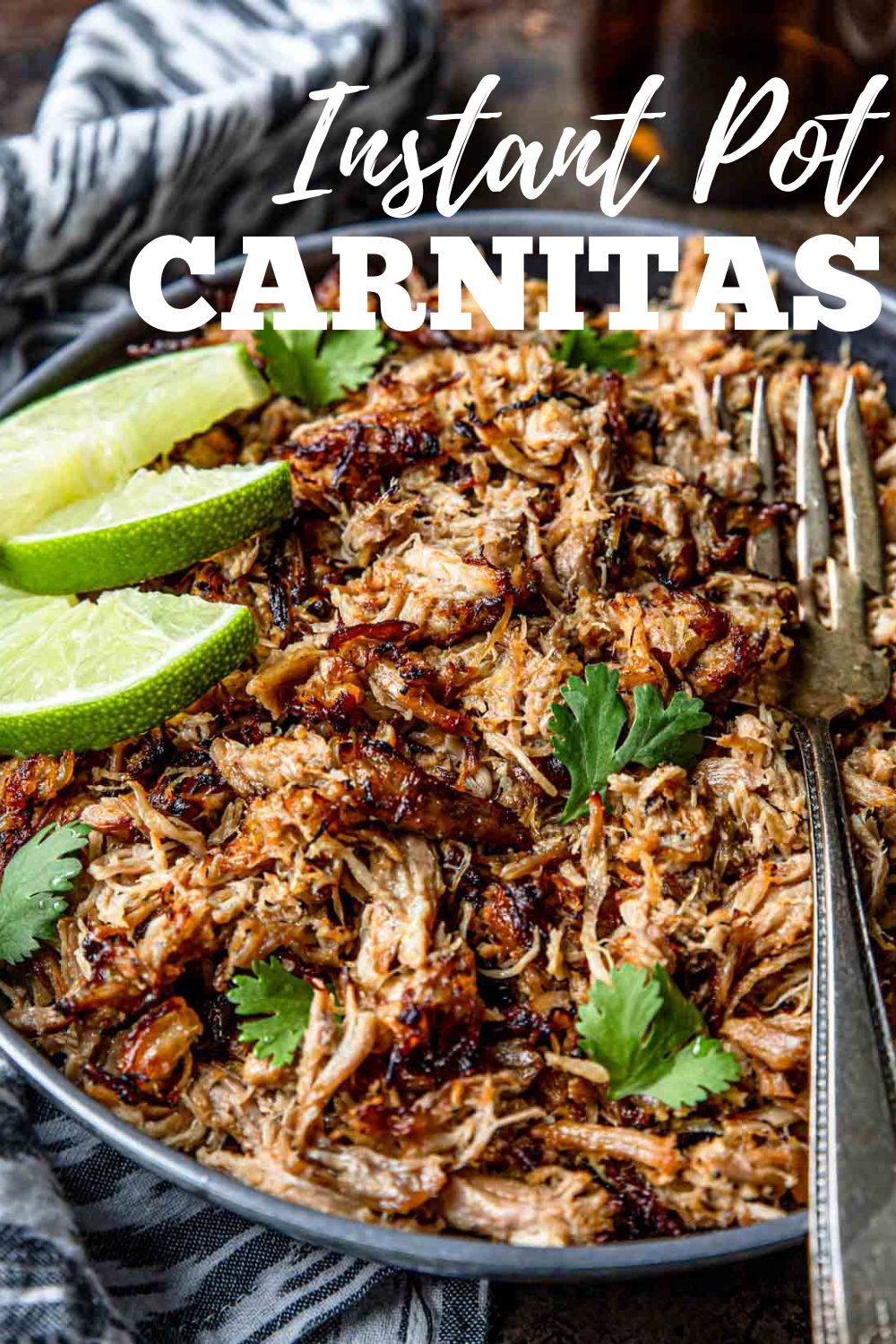 Carnitas in a bowl with text overlay for Pinterest
