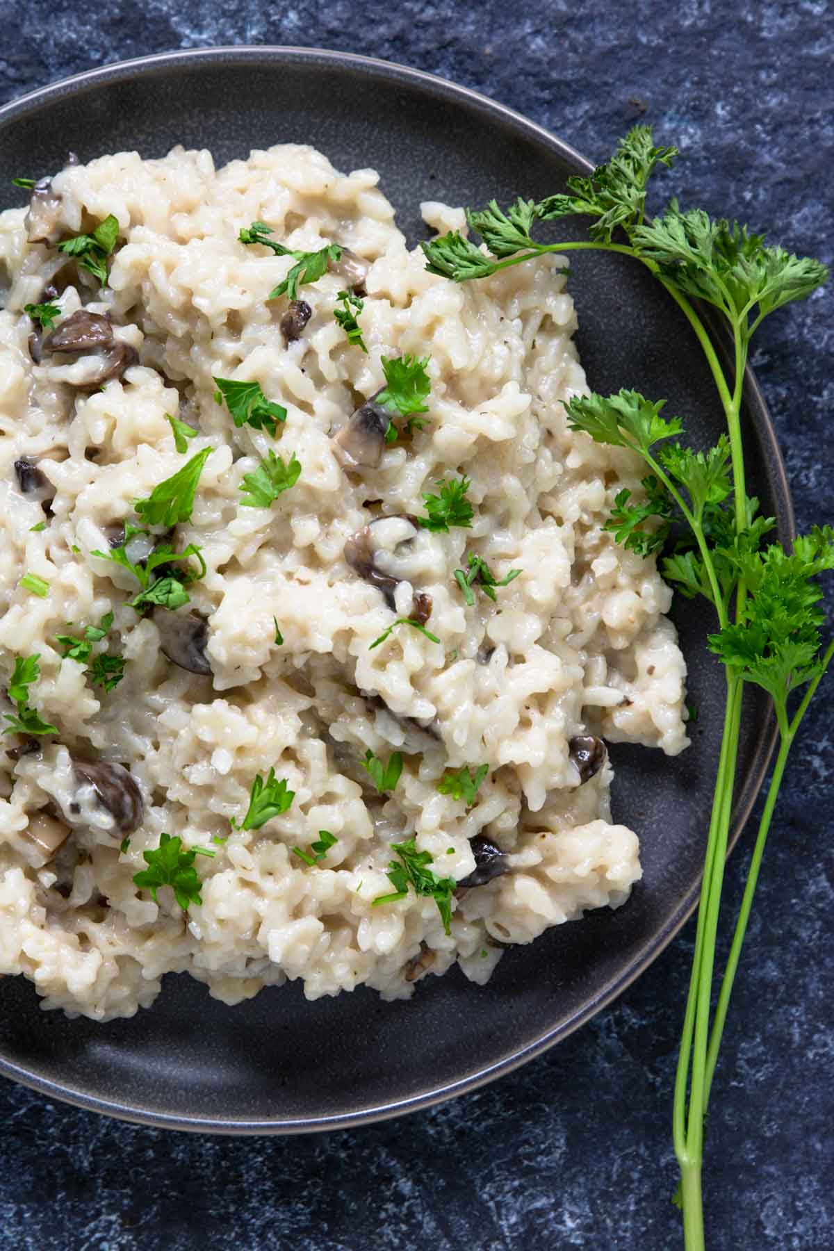 A plate of mushroom risotto with sprigs of parsley to the side