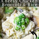 Instant Pot Chicken and Rice on a spoon with pinterest text