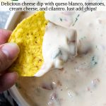 Instant Pot Queso Dip on a tortilla chip with pinterest text overlay