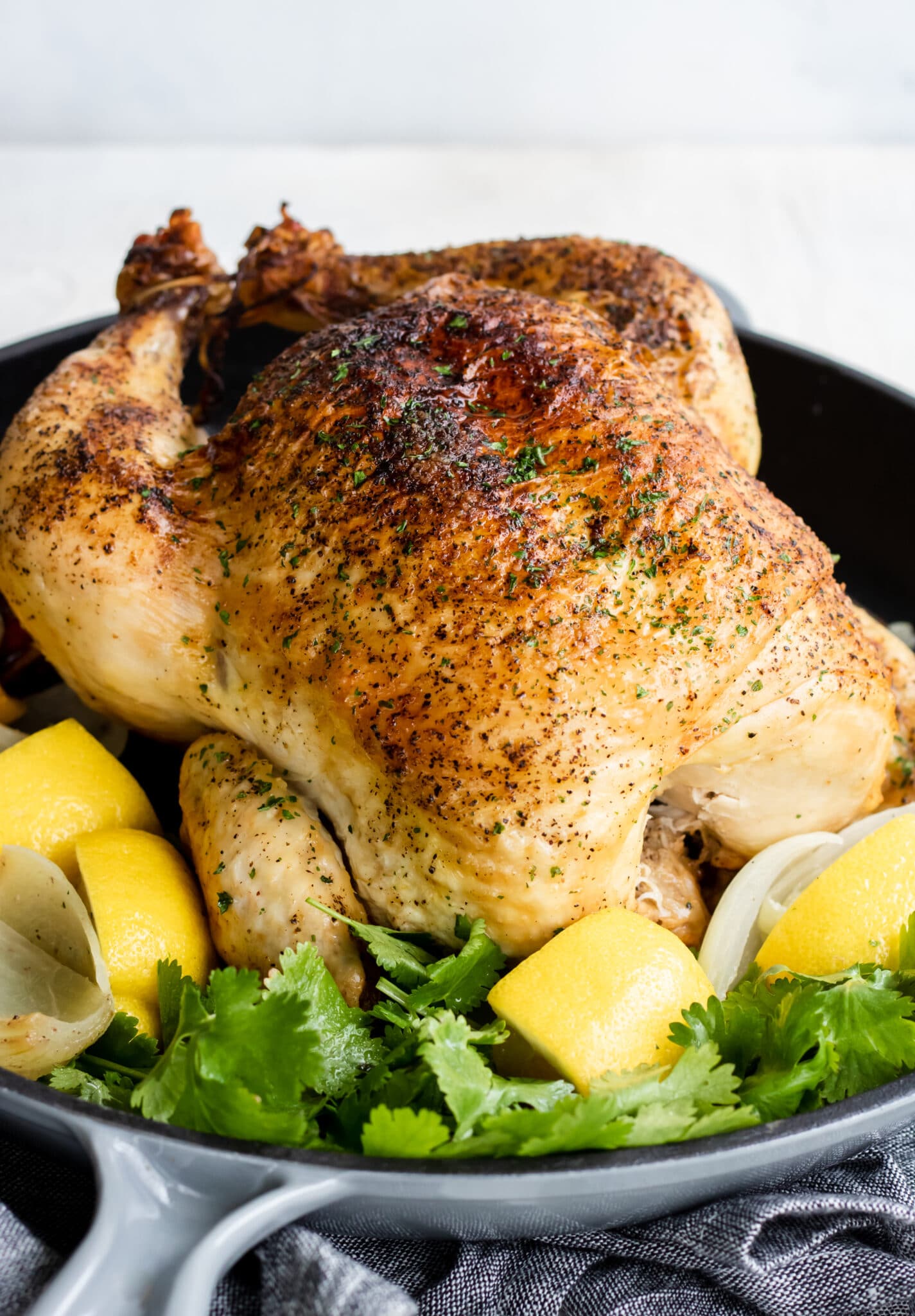 Roasted Chicken 