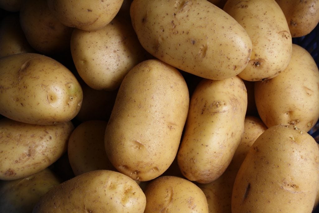 pile of russet potatoes