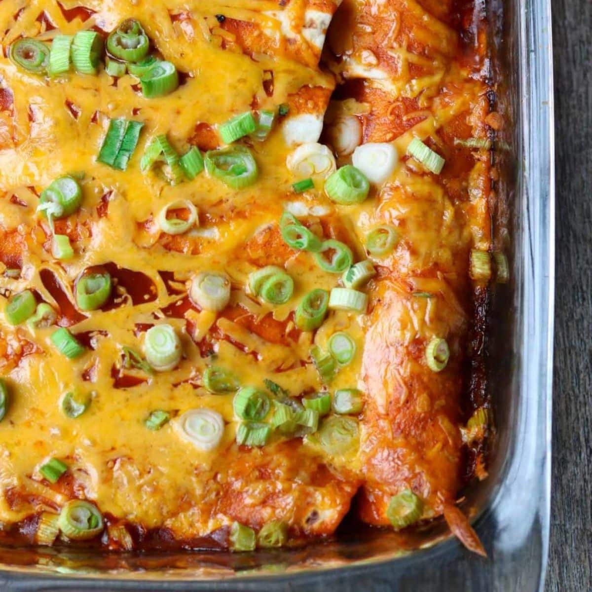 chicken enchiladas in a 9x13 pan with cheese melted on top and garnished with green onions