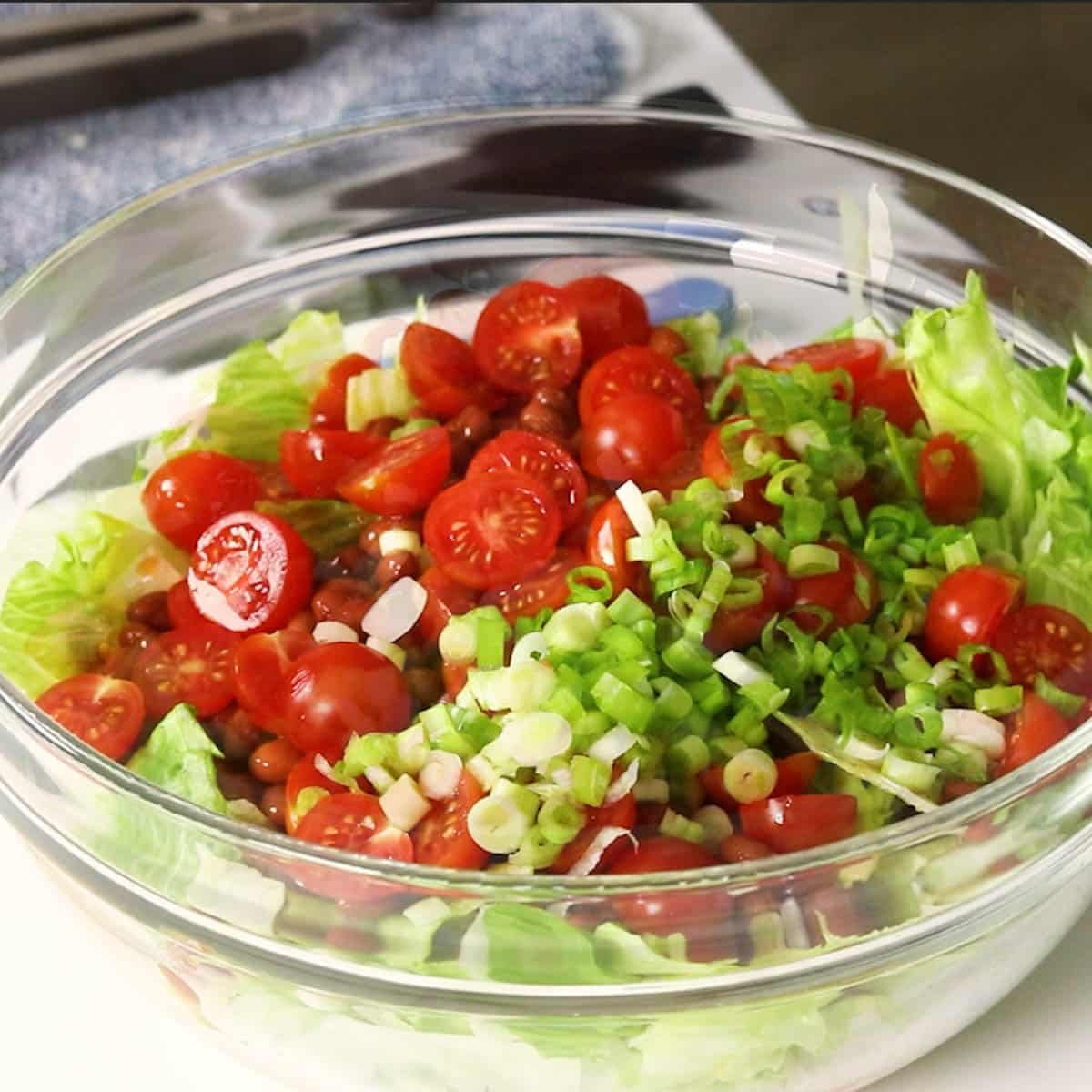 tomatoes and onions on top of lettuce and chili beans 