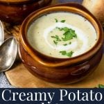 pin image with text for potato leek soup