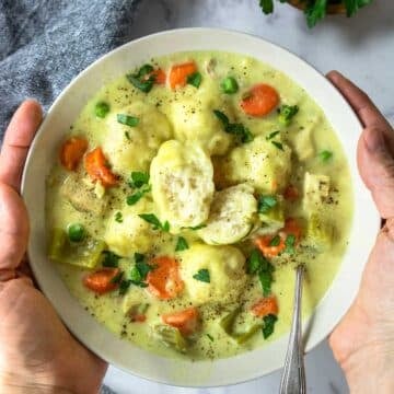 hands holding a bowl of chicken and dumplings