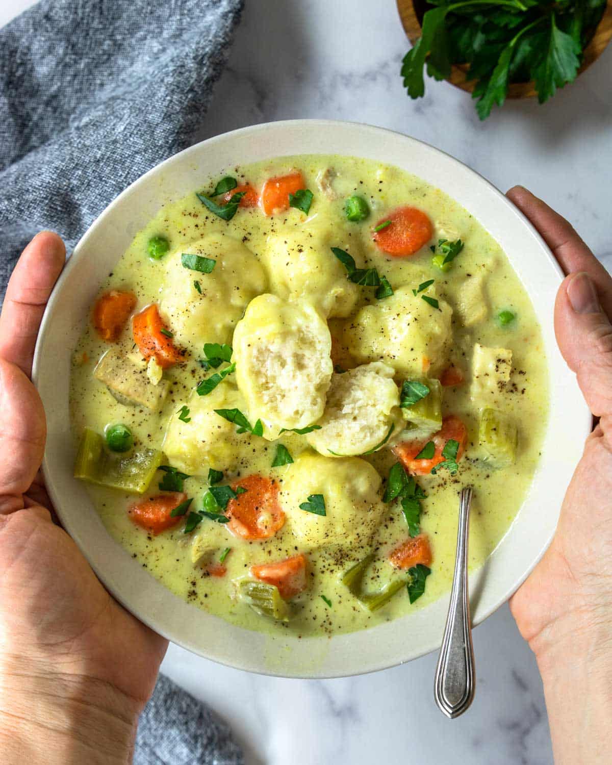 hands holding a bowl of chicken and dumplings