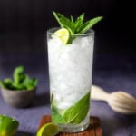 a collins glass with a tequila mojito and a mint garnish
