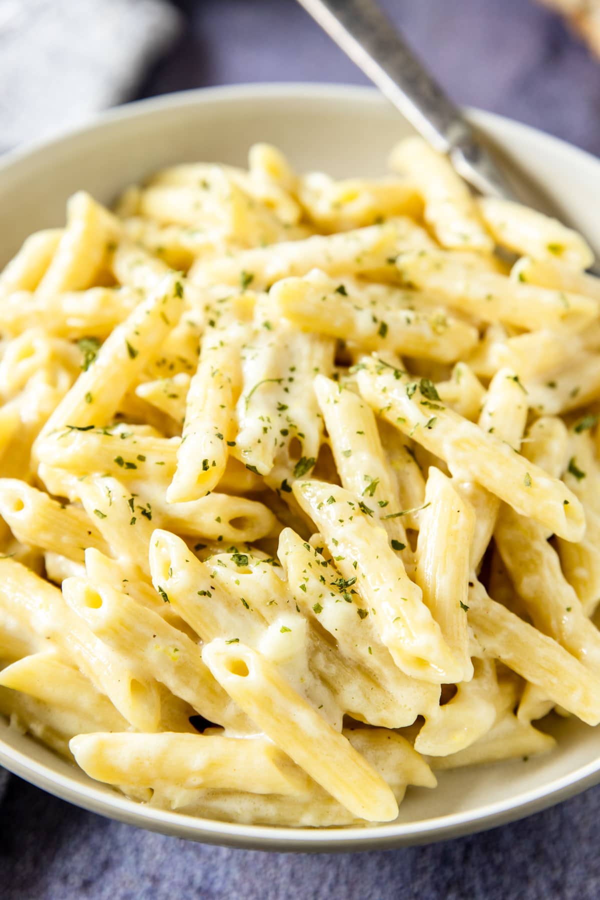a bowl of penne pasta coated in a mascarpone cheese sauce