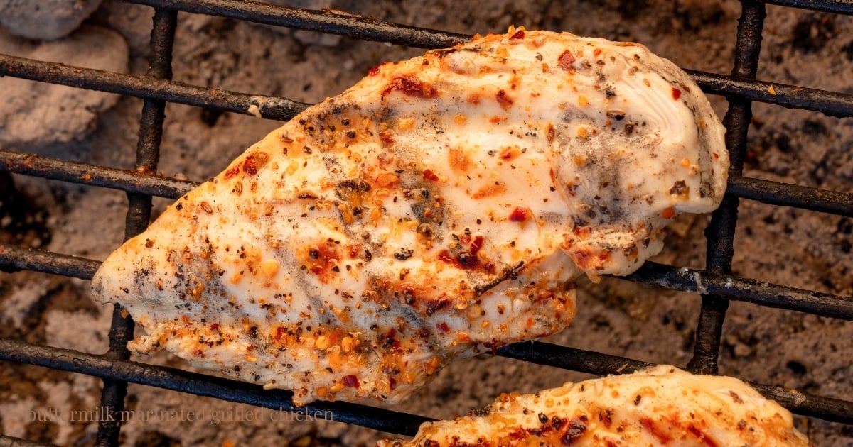 Grilled chicken on the grill