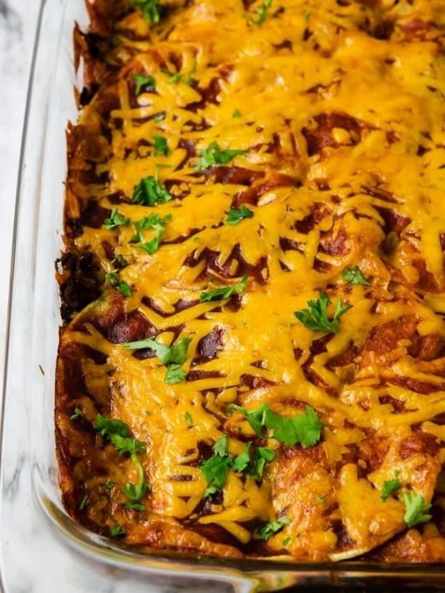 Enchilada Casserole Recipe