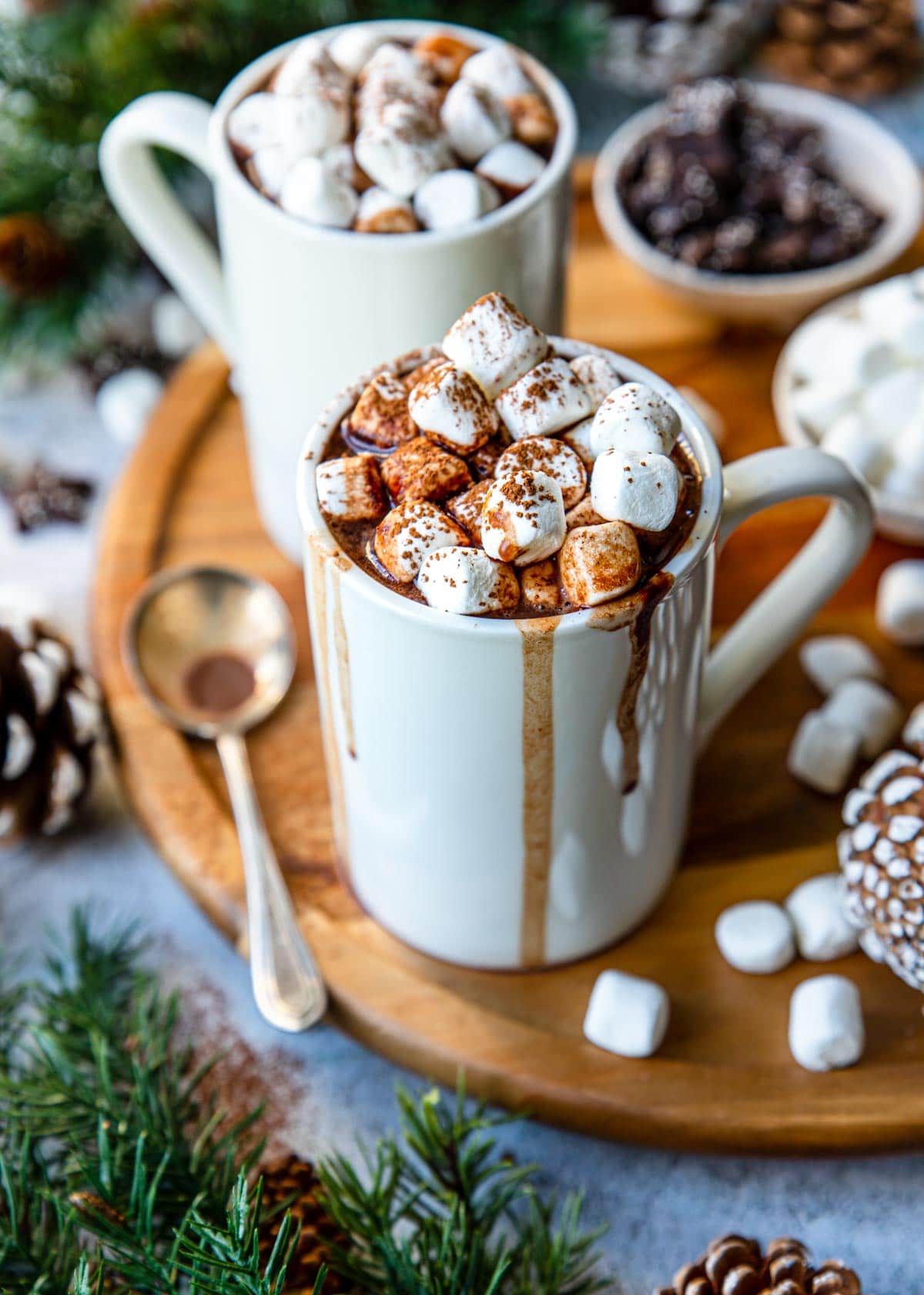 hot chocolate in a mug with marshmallows and cocoa on top