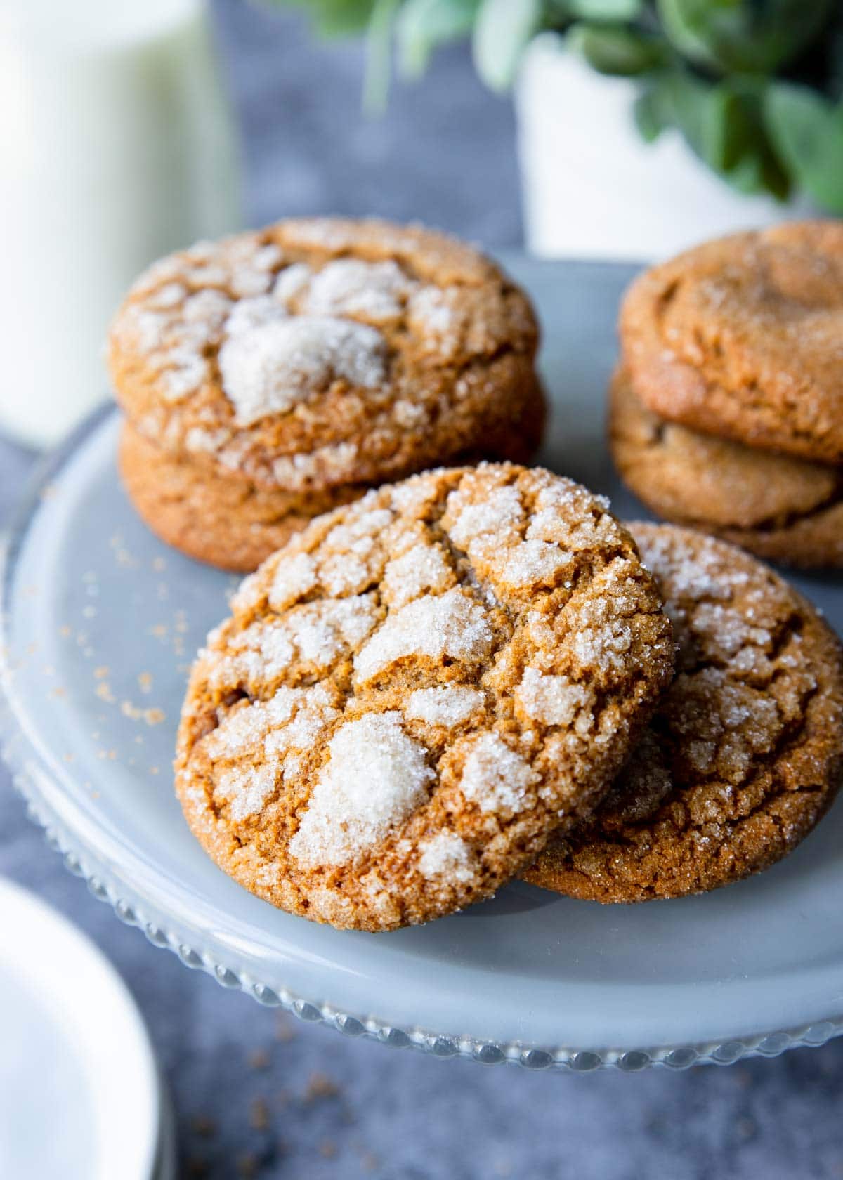 a plate with a lot of molasses cookies