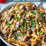 Beef and Noodles Pin Image