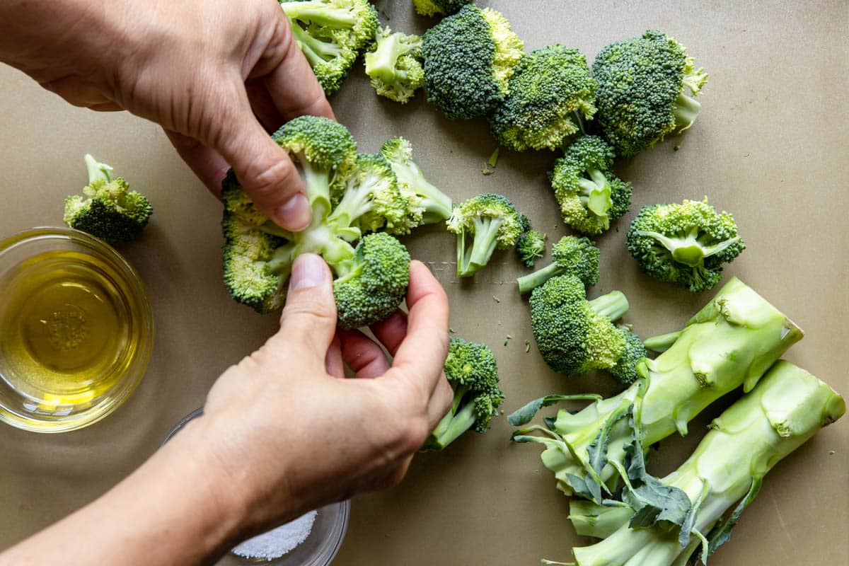 showing how to pull broccoli florets into individual pieces