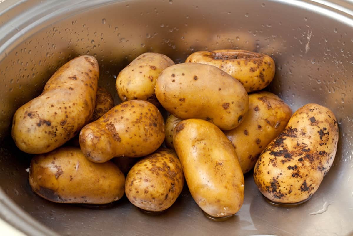 washing russet potatoes in a sink