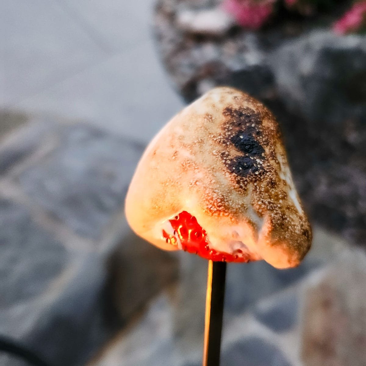 a strawberry on a skewer coated in marshmallow fluff