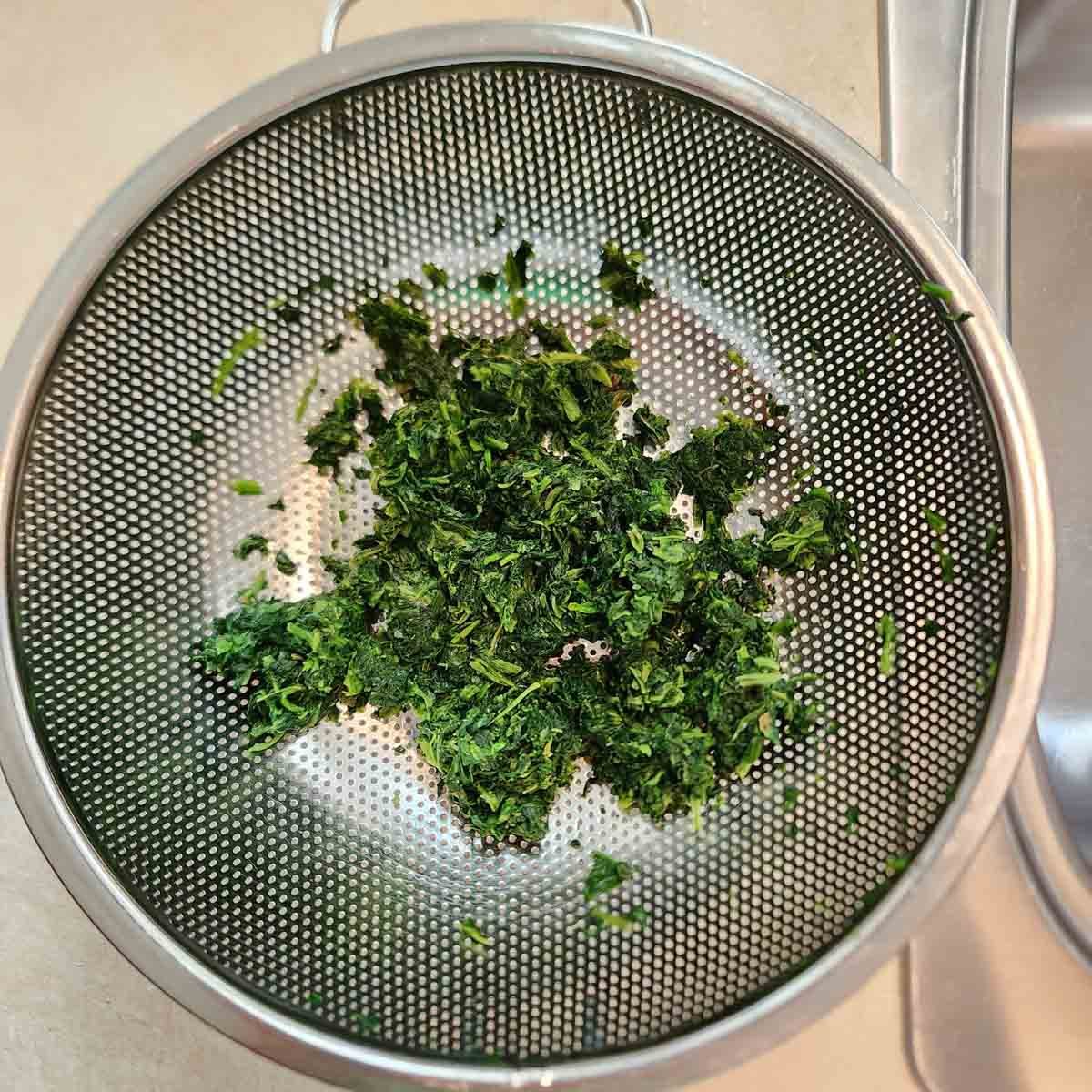 Spinach resting in a fine mesh colander with the water removed.