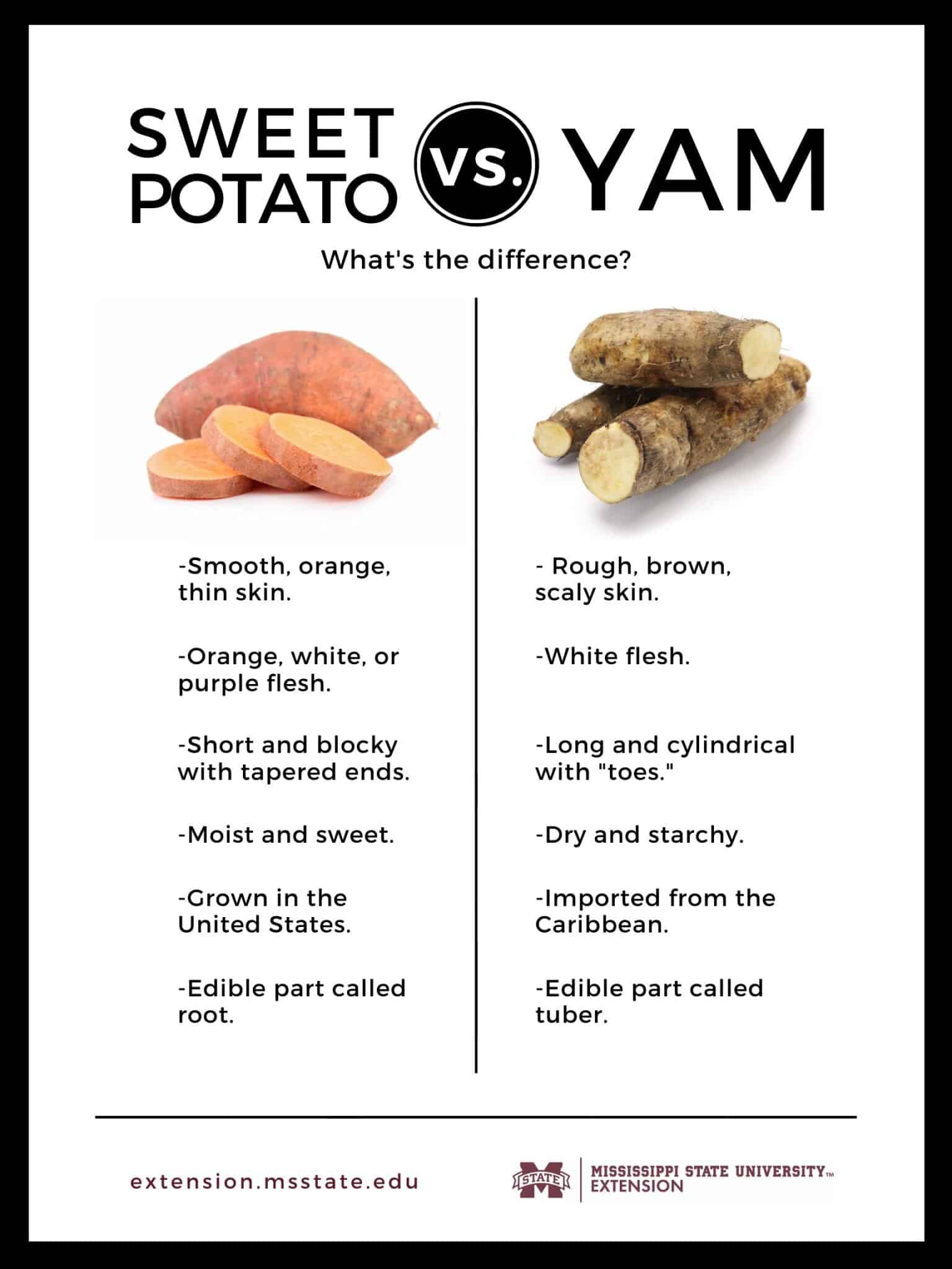 a sheet comparing yams and sweet potatoes 