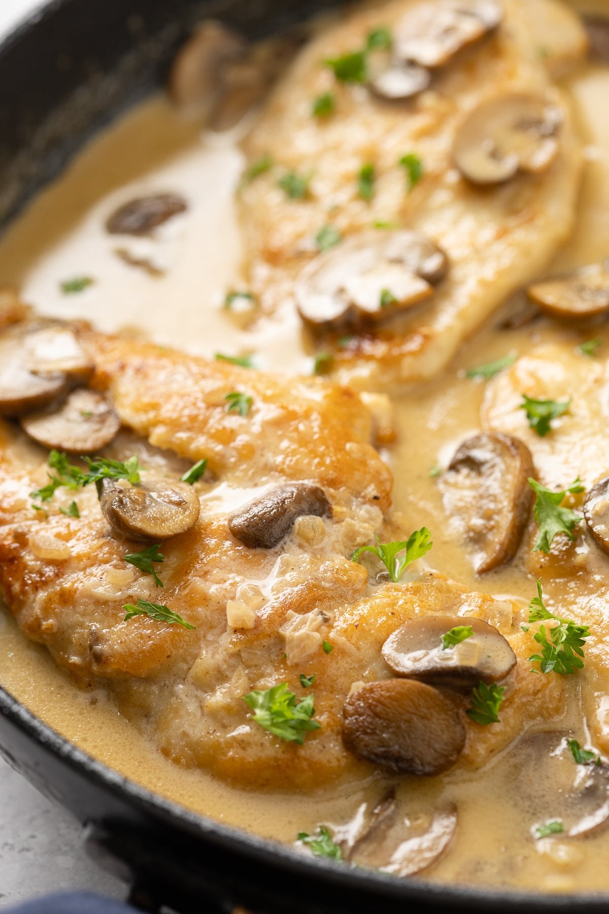 Chicken marsala with mushrooms in a skillet resting in a rich cream sauce.