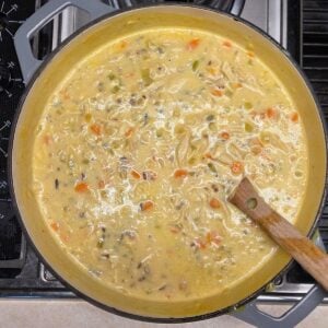 Wild rice and chicken pieces added to the creamy chicken wild rice soup mixture.