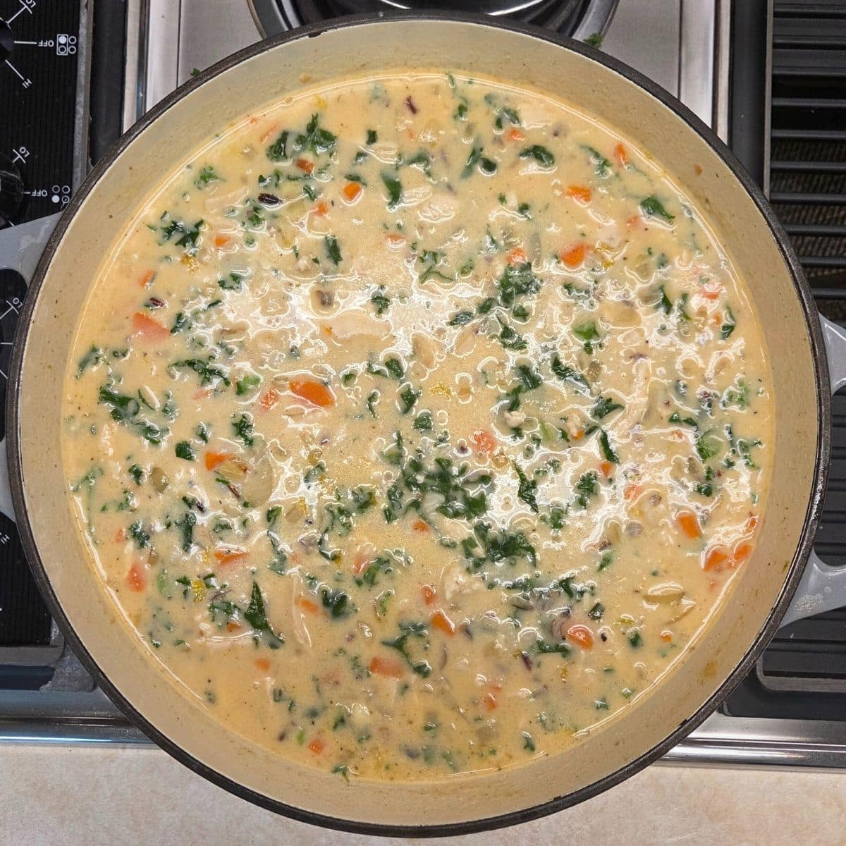 Wild rice and chicken soup with chopped kale added