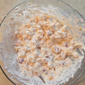 Ambrosia ingredients combined with the whipped cream mixture.