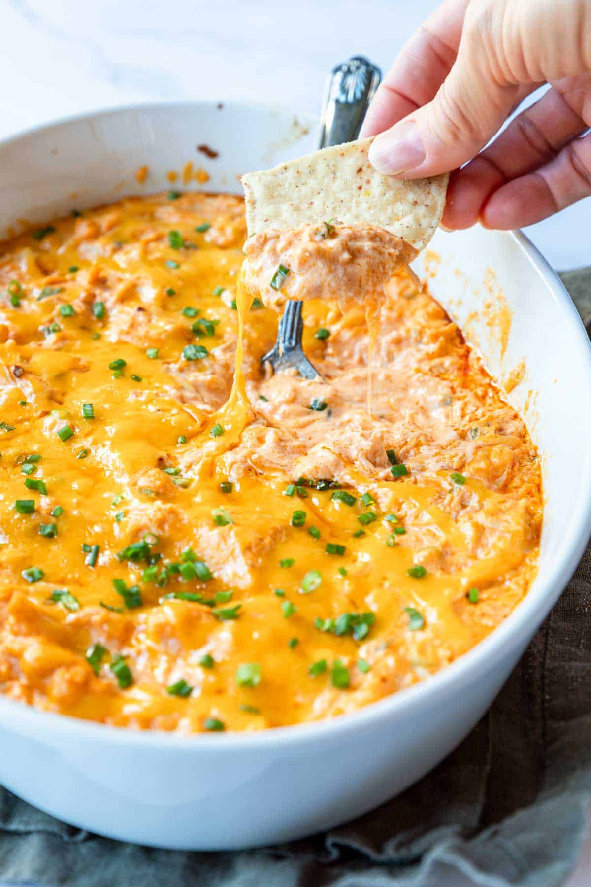 Creamy buffalo chicken dip being scooped up with a tortilla chip.