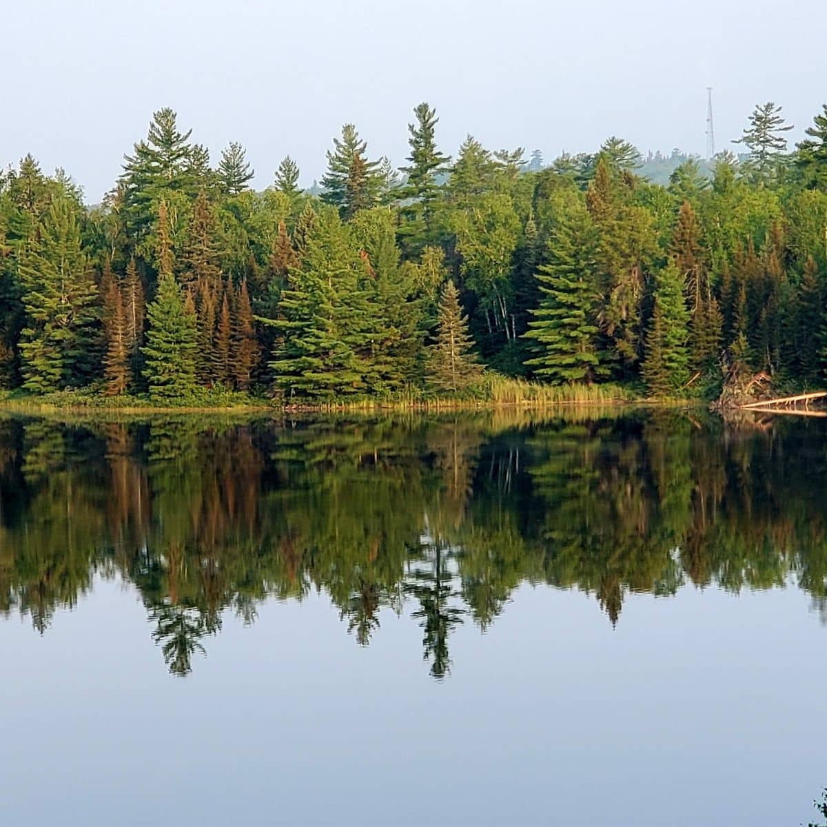 a view across a lake with the trees reflecting in the water 